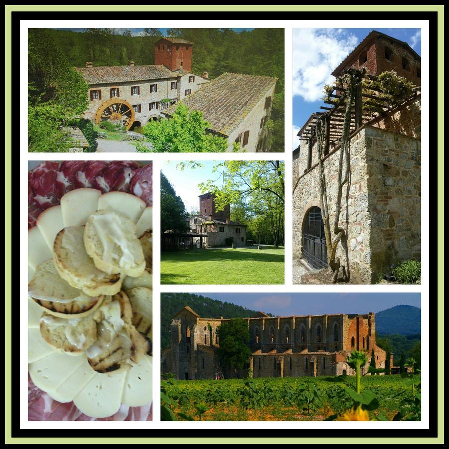 Agriturismo Il Mulino Delle Pile Chiusdino Zewnętrze zdjęcie