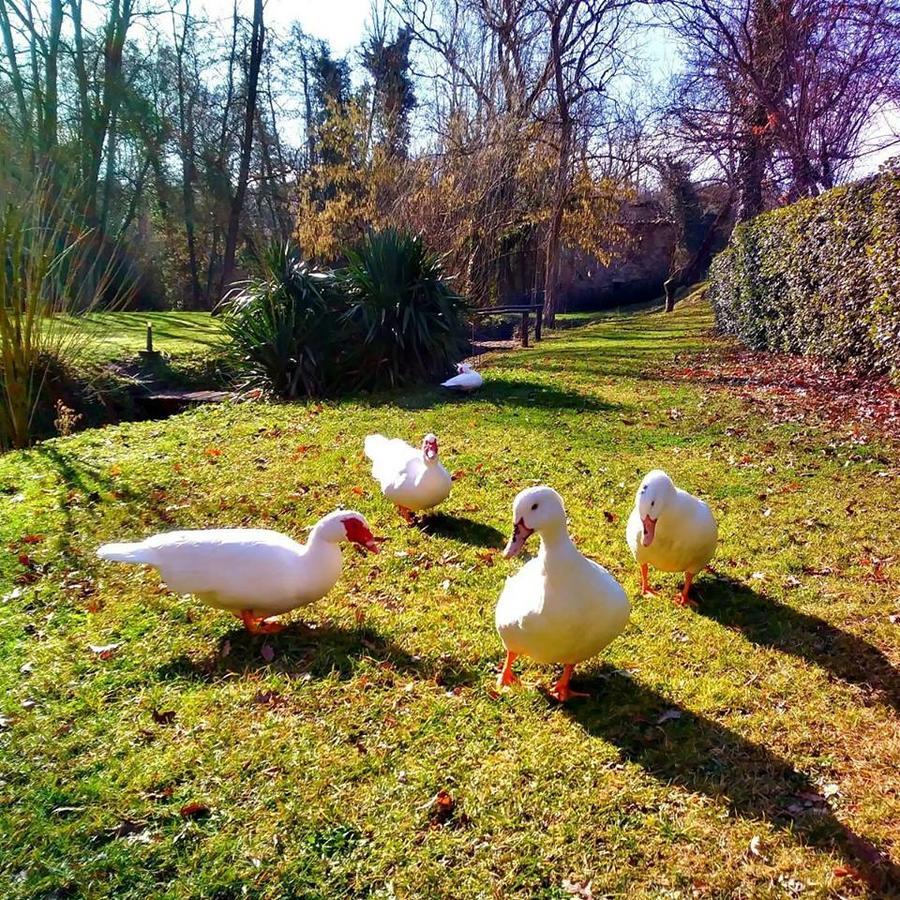 Agriturismo Il Mulino Delle Pile Chiusdino Zewnętrze zdjęcie