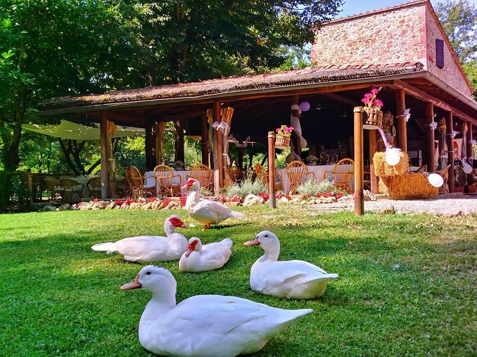 Agriturismo Il Mulino Delle Pile Chiusdino Zewnętrze zdjęcie