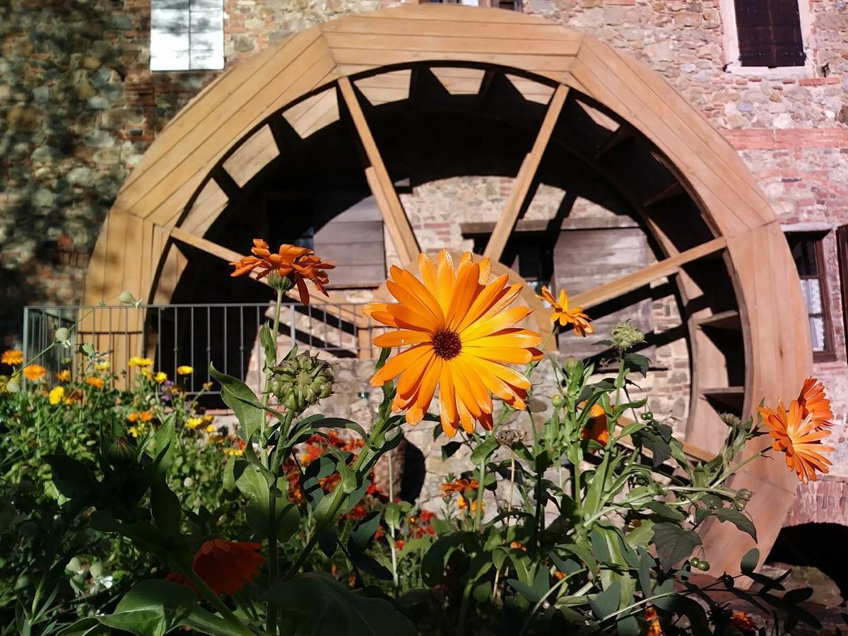 Agriturismo Il Mulino Delle Pile Chiusdino Zewnętrze zdjęcie