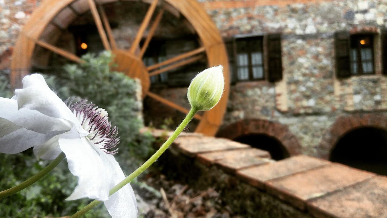 Agriturismo Il Mulino Delle Pile Chiusdino Zewnętrze zdjęcie